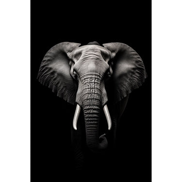 Tableau Tête Éléphant Noir Blanc